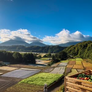 産地直送がもたらす環境変化！！生産者と消費者の視点から